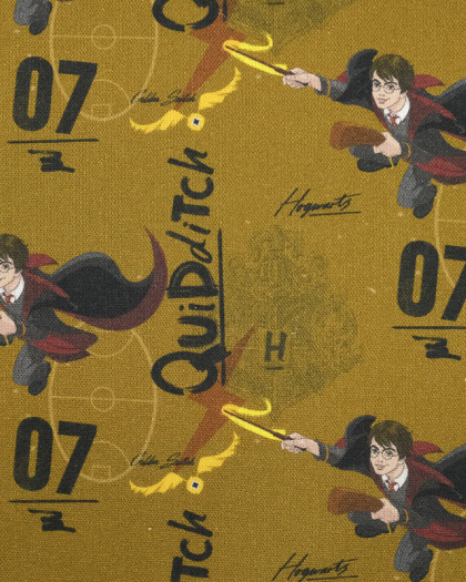 Coton imprimé Harry Potter : tissu enfant - Mercerine