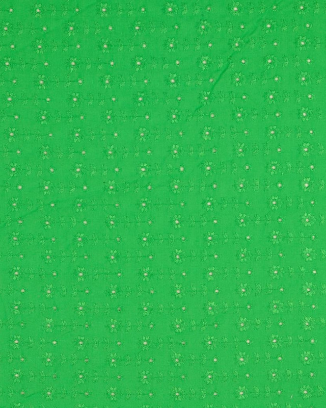 Tissu viscose vert brodé - Tissus en ligne - Mercerine