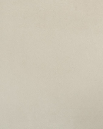 Tissu Velours Epais Ameublement Beige Elise - Mercerine