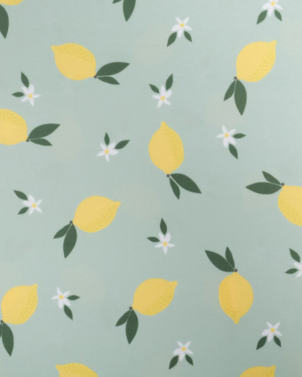 Tissu Maillot de Bain Vert d'Eau Imprimé Citron - Oeko-Tex -  Mercerine