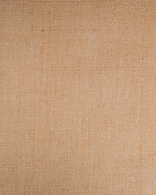 Toile de Jute Lurex Naturel Argent - Mercerine