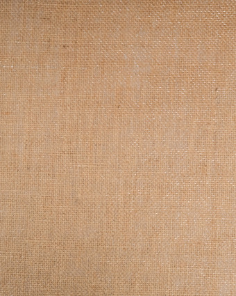 Toile de Jute Lurex Naturel Argent - Mercerine