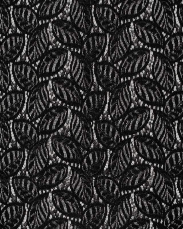 Tissu Dentelle Toucher Velours Feuillage Noir - Mercerine