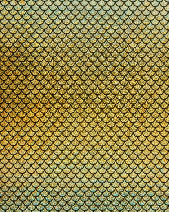 Tissu Lamé Stretch Sirène Doré - Mercerine