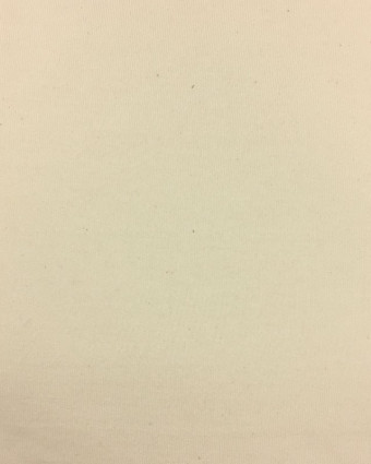 Molleton 100% coton bio oekotex - par 10cm