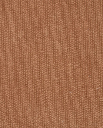 Velours Côtelé Envers Fausse Fourrure Marron - Mercerine