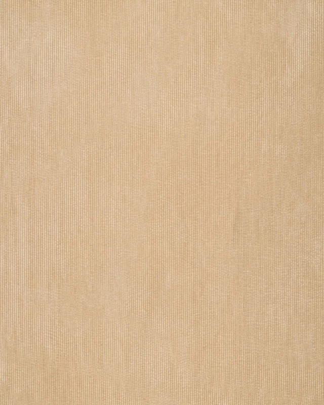 Velours Côtelé Envers Fausse Fourrure Beige - Mercerine