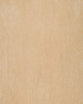 Velours Côtelé Envers Fausse Fourrure Beige - Mercerine
