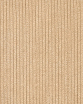 Velours Côtelé Envers Fausse Fourrure Beige - Mercerine