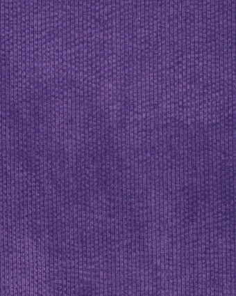 Velours Côtelé Envers Fausse Fourrure Violet - Mercerine