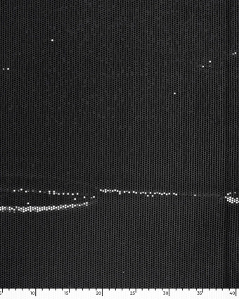 Tissu Sequins Noir Sur Maille Légère - Mercerine