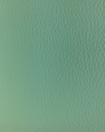 Tissus simili cuir vert riviera - Zoom 10 cm - Mercerine.com
