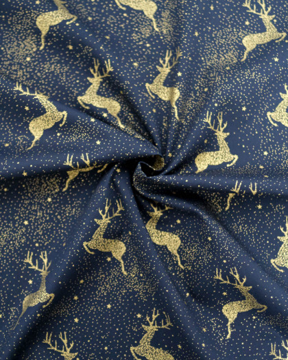 Tissu Coton Noël Marine Jolis Rennes Dorés
