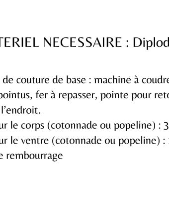 Patron Diplodocus - Les Enchantées - Mercerine