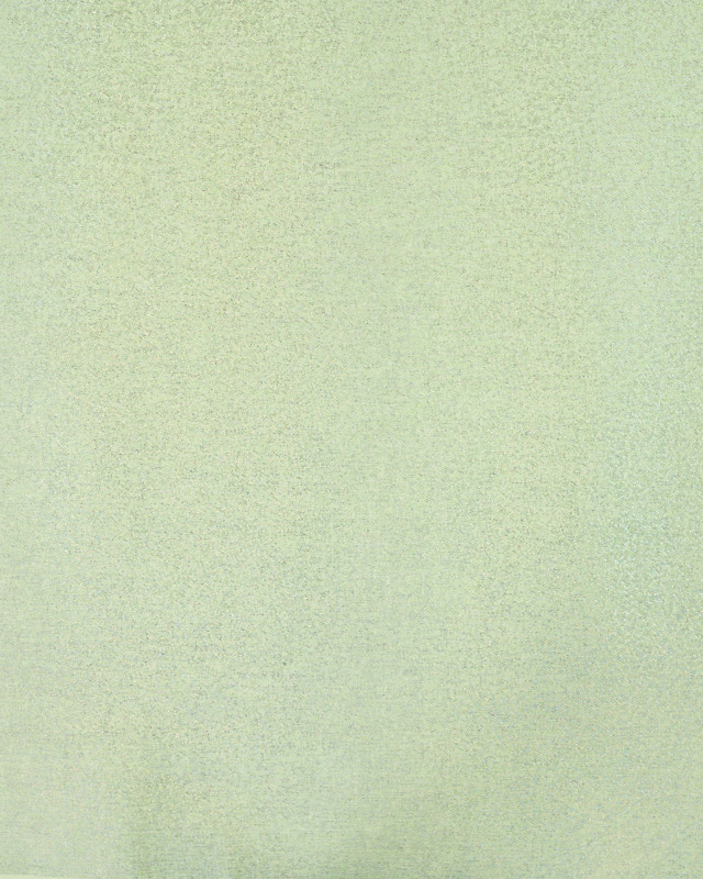 Tissu Jean Stretch Double Face Pop Pailleté Vert - Mercerine