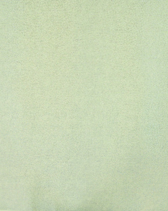 Tissu Jean Stretch Double Face Pop Pailleté Vert - Mercerine