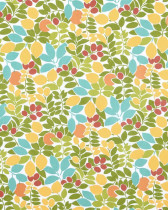 Toile Corrèze Fruitier