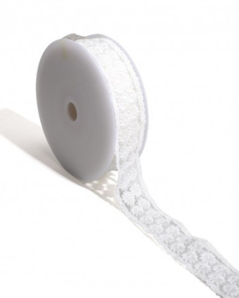 Broderie Fleurs sur Tulle - Blanc