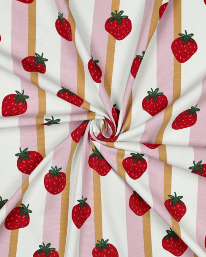 Jersey de Coton à Rayures Fraises - Mercerine
