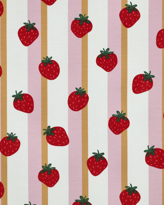 Jersey de Coton à Rayures Fraises - Mercerine