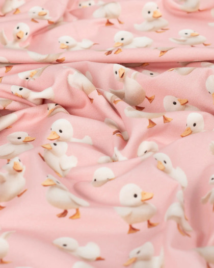 Tissu Jersey Coton Rose Motif Canard