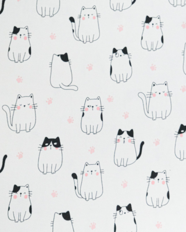 Jersey de Coton Imprimé Club Chat - Mercerine