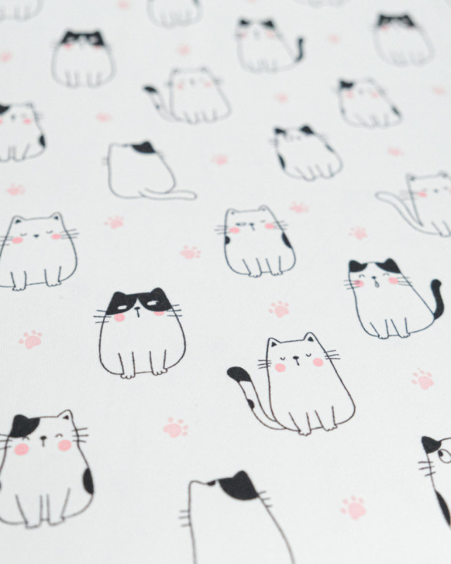 Jersey de Coton Imprimé Club Chat - Mercerine