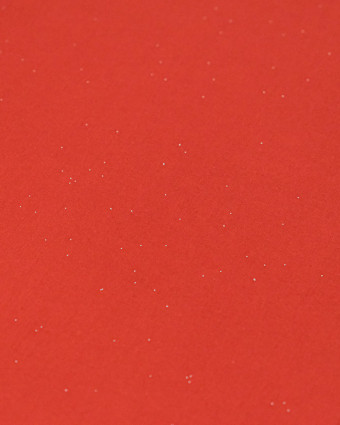 Popeline de Coton Pailletée Argent Terracotta - Mercerine