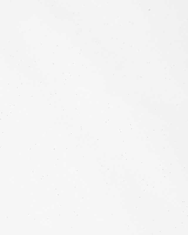 Popeline de Coton Pailletée Argent Blanc - Mercerine