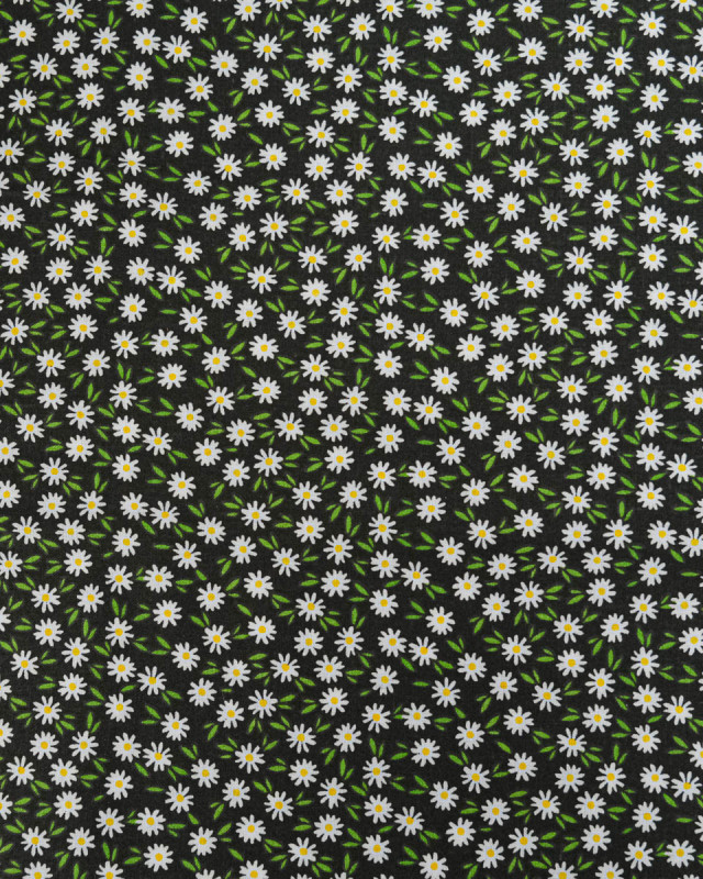 Popeline de Coton Marguerites Noir - 110 cm - Mercerine
