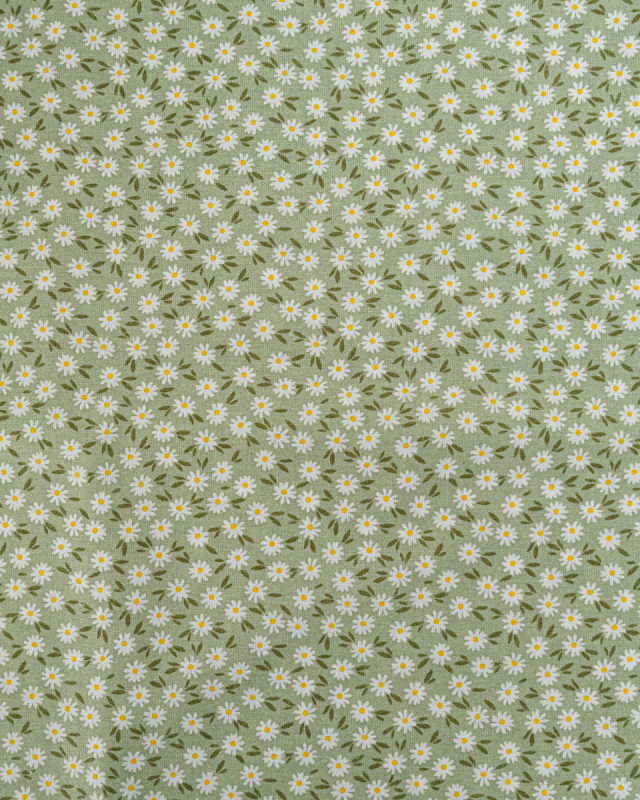 Popeline de Coton Marguerites Sauge - 110 cm - Mercerine