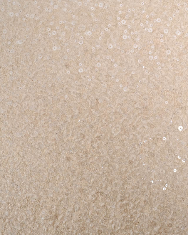 Sequins Brodés sur Maille Légère et Stretch Beige - Mercerine