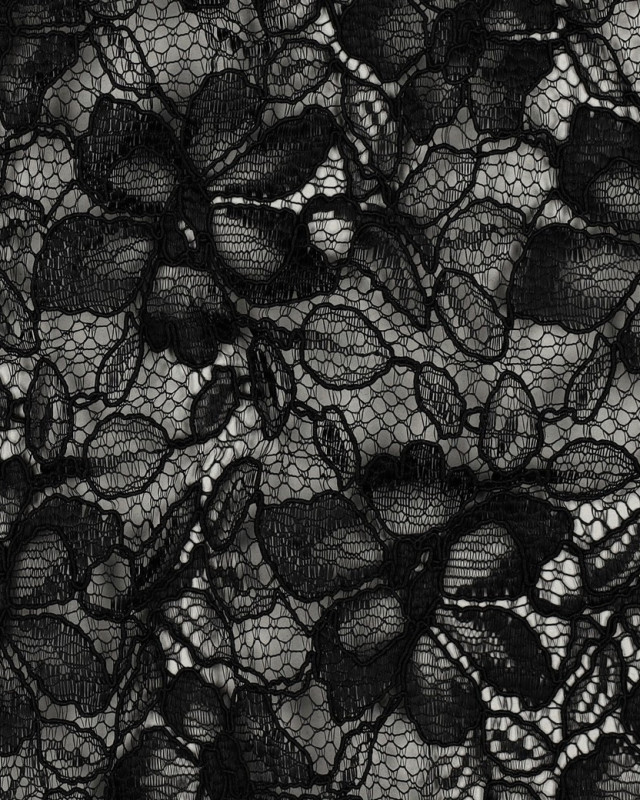 Tissu Dentelle Fleuri Bordure Festonnée Noir - Mercerine