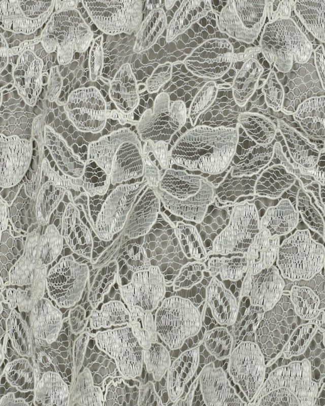 Tissu Dentelle Fleuri Bordure Festonnée Crème - Mercerine