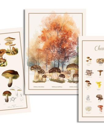 Torchon cuisine 50x70 cm - Forêt de Champignon - Mercerine