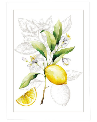 Torchon cuisine 50x70 cm - Citron Fond Blanc - Mercerine