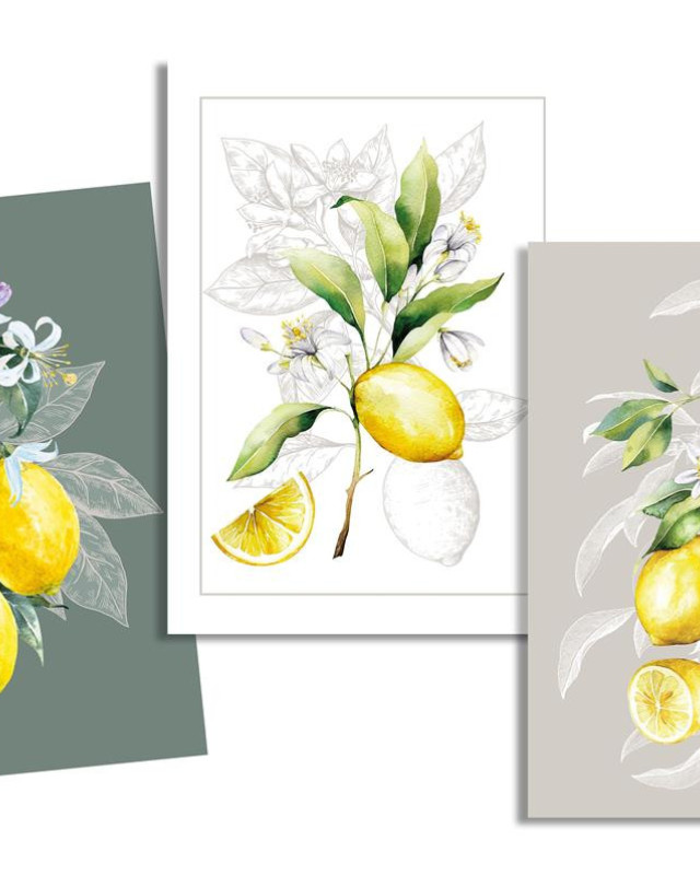 Torchon cuisine 50x70 cm - Citron Fond Blanc - Mercerine