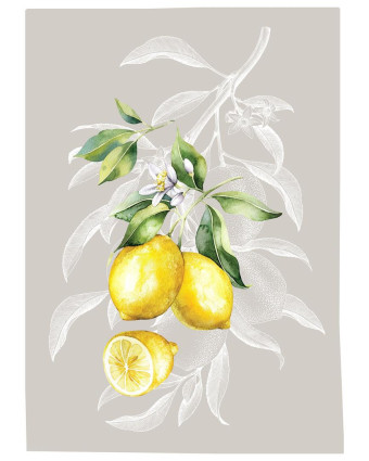 Torchon cuisine 50x70 cm - Citron Fond Taupe - Mercerine