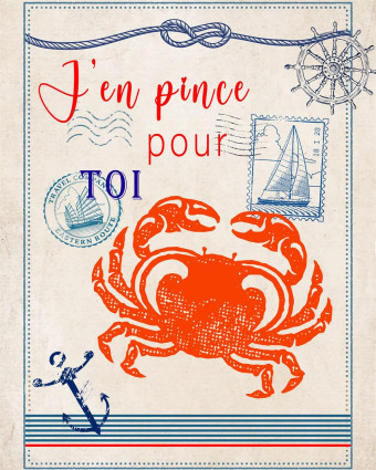 Torchon cuisine 50x70 cm - J'en Pince Pour Toi - Mercerine