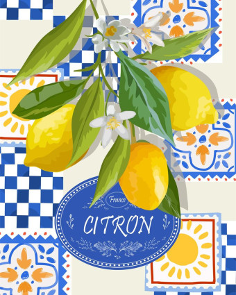 Torchon cuisine 50x70 cm - Citron En Fleur - Mercerine