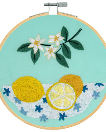 Kit de Broderie Les Citrons - DMC - Mercerine