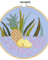Kit de Broderie Les Ananas - DMC