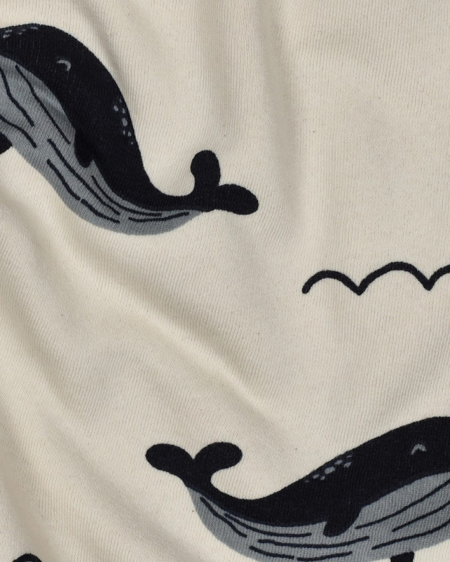Tissu Sweat Jogging Baleine Fond Ecru  - Mercerine
