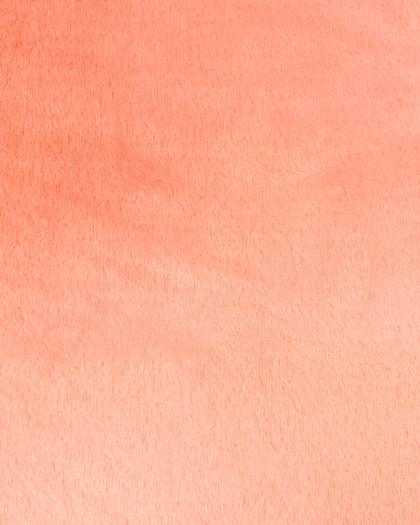 Tissu polaire Corail uni Leandro - Tissu oeko-tex - Mercerine