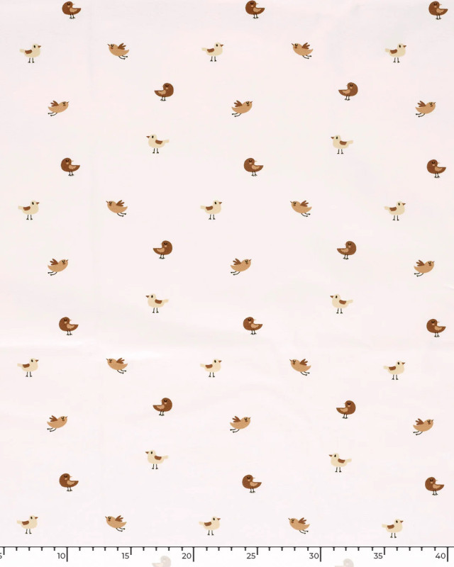 Jersey de Coton Ecru Petits Oiseaux - Mercerine