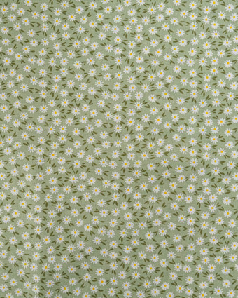 Popeline de Coton Marguerites Sauge - 110 cm - Mercerine