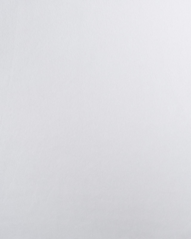 Tissu Minky Lisse Uni Blanc Oeko-Tex - Mercerine