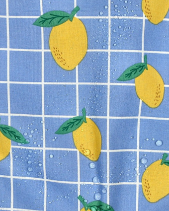 Tissu Coton Déperlant Citron à Carreaux Bleus - Mercerine