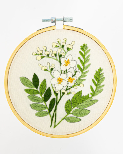 Kit Broderie - Achillea Ptarmica - avec Tambour 15cm - Mercerine