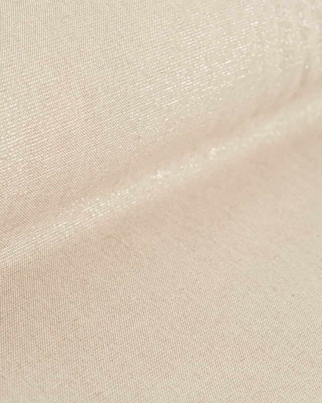 Aspect Lin Lurex Naturel Argent - Mercerine